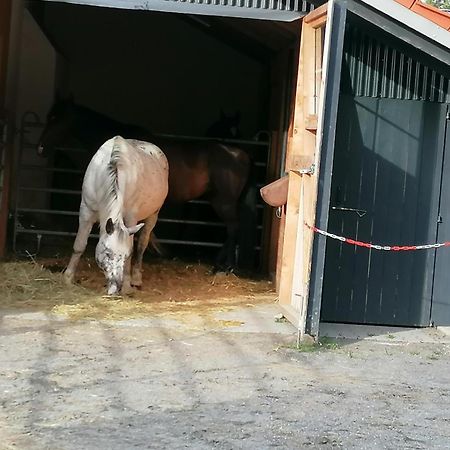 Wild Life Ranch Schöfweg Exterior foto
