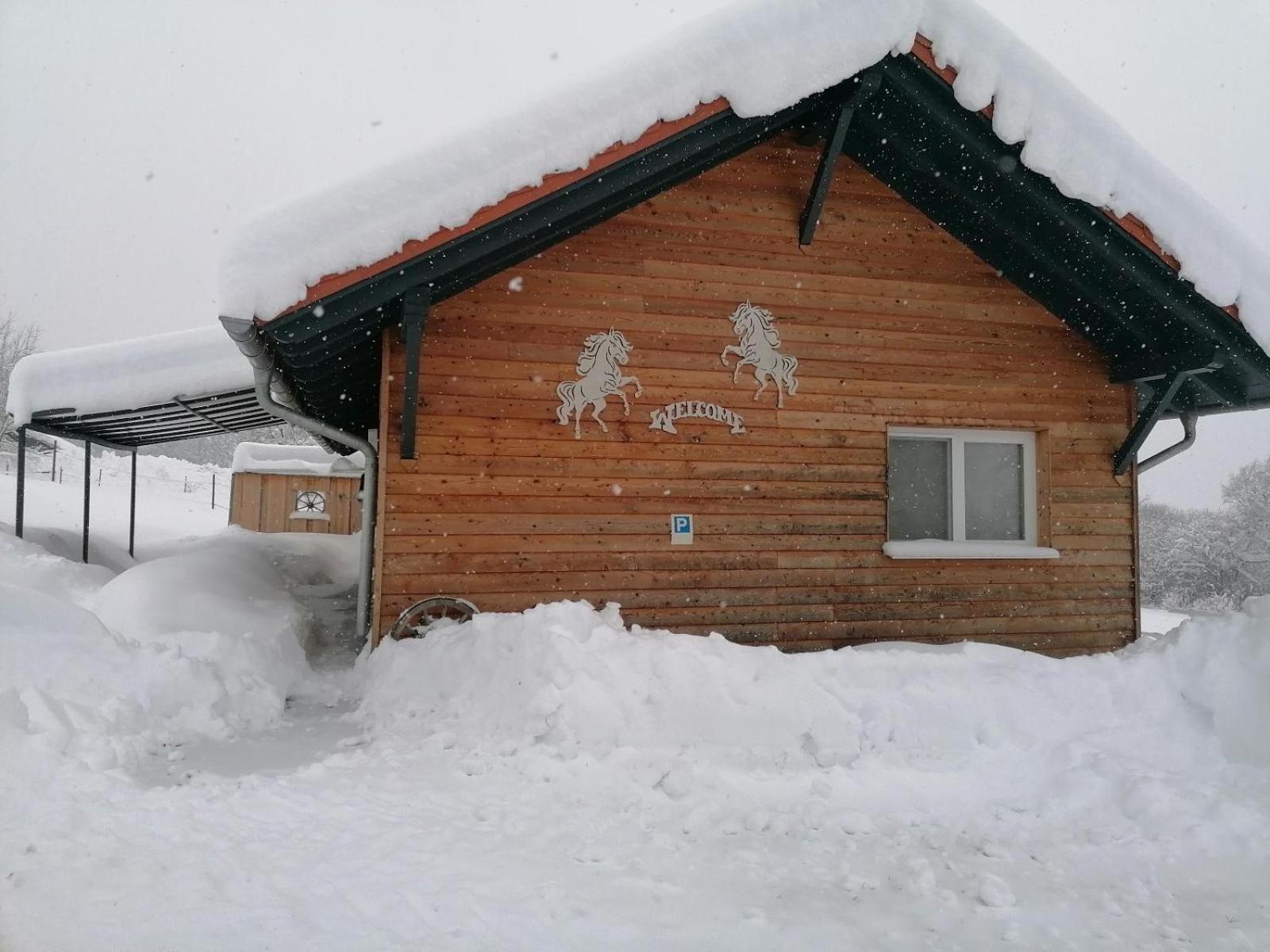 Wild Life Ranch Schöfweg Exterior foto